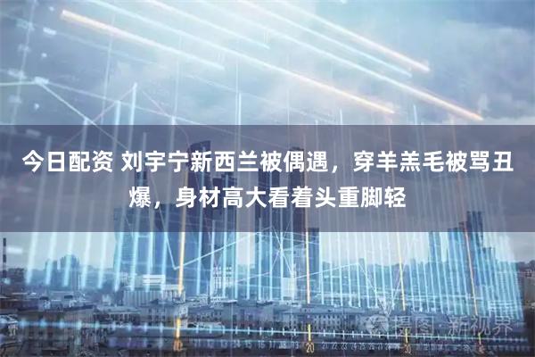 今日配资 刘宇宁新西兰被偶遇，穿羊羔毛被骂丑爆，身材高大看着头重脚轻