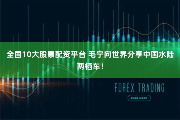 全国10大股票配资平台 毛宁向世界分享中国水陆两栖车！