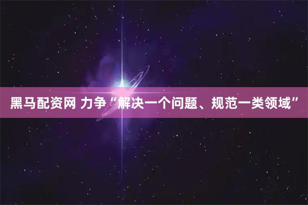 黑马配资网 力争“解决一个问题、规范一类领域”