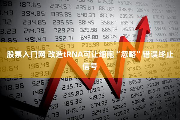股票入门网 改造tRNA可让细胞“忽略”错误终止信号